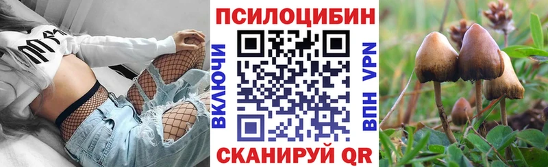 как найти наркотики  Верхний Тагил  OMG вход  Галлюциногенные грибы прущие грибы 